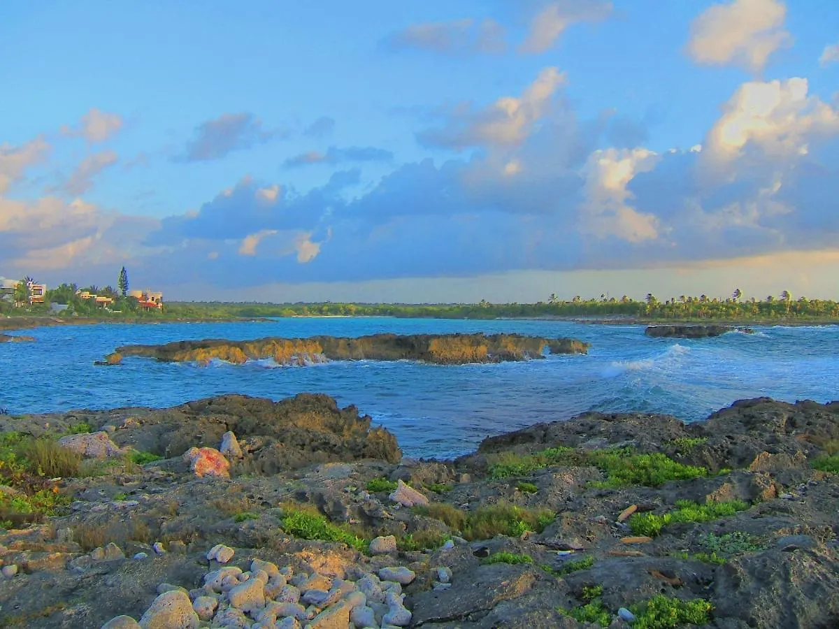 Casa Gatos Suites Akumal