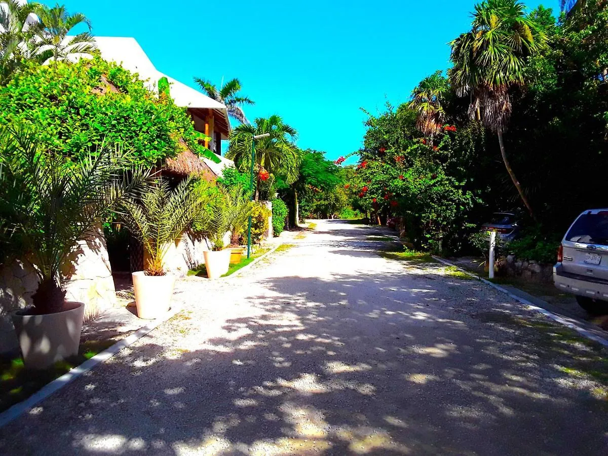 Casa Gatos Suites Akumal Lejlighed
