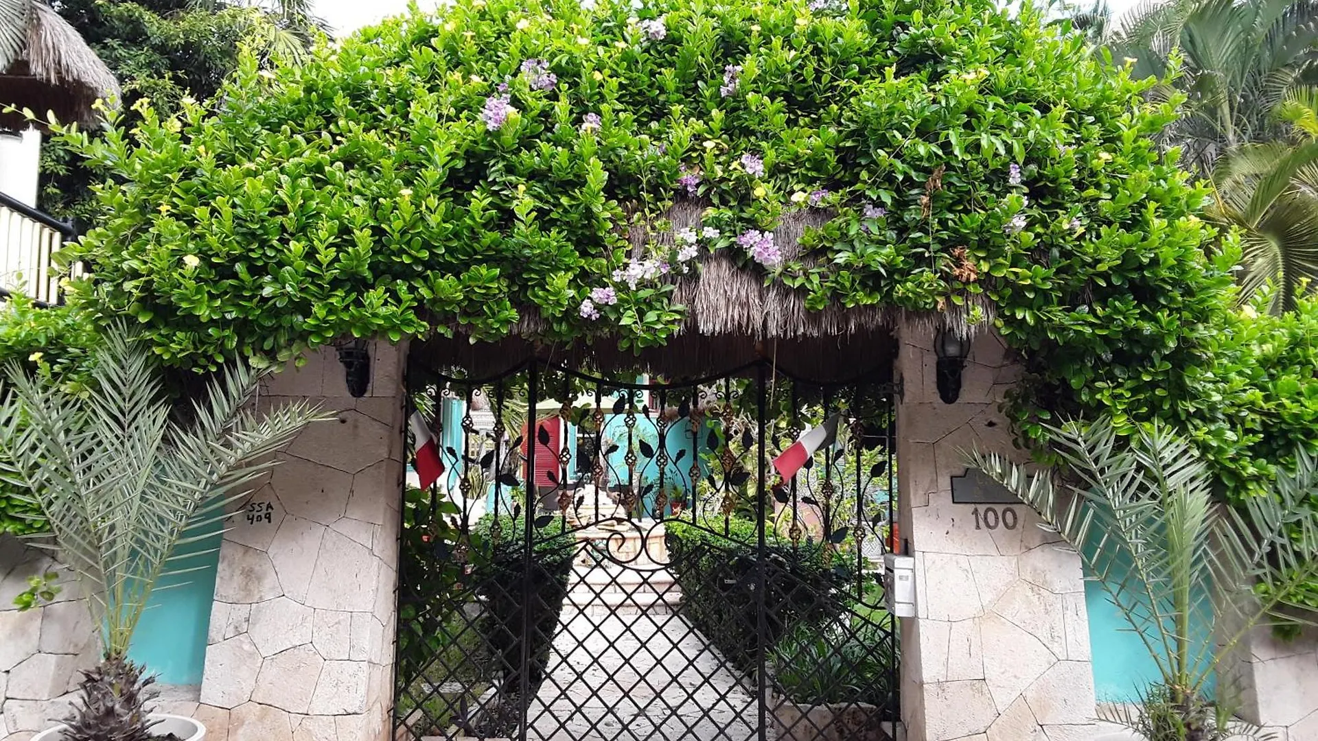 Casa Gatos Suites Akumal Lejlighed